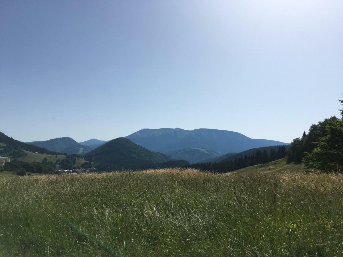 Apartmanovy Dom Spiezovec - Ap. 4 多纳瓦利 外观 照片
