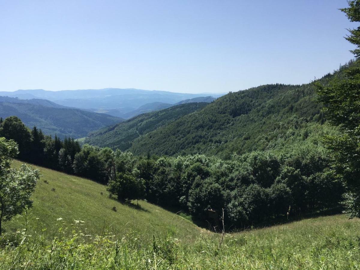 Apartmanovy Dom Spiezovec - Ap. 4 多纳瓦利 外观 照片